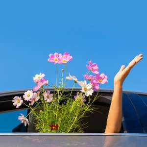 Printemps : préparez votre voiture en 7 étapes